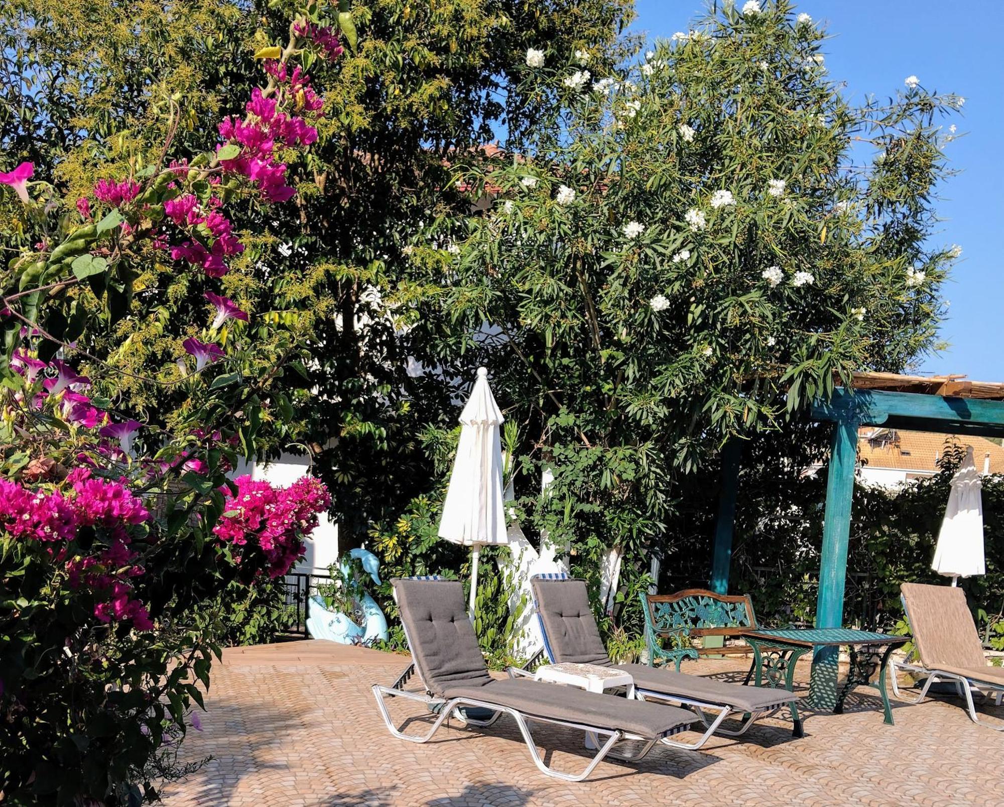 Harmony Resort Parga Exterior photo